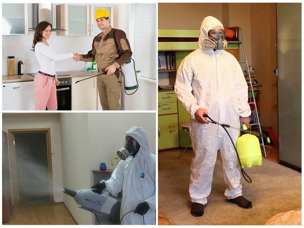 Уничтожение тараканов