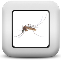 Комары Комары