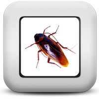 Тараканы Тараканы